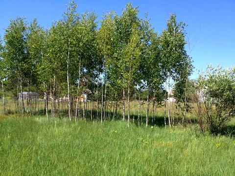 участок по адресу Злагоди, 16