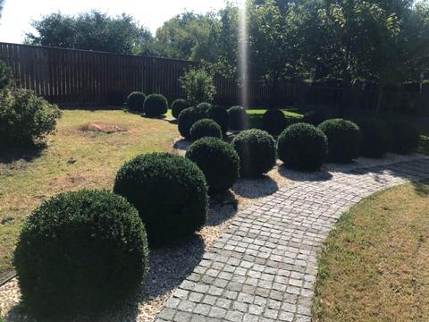 будинок за адресою молодіжна