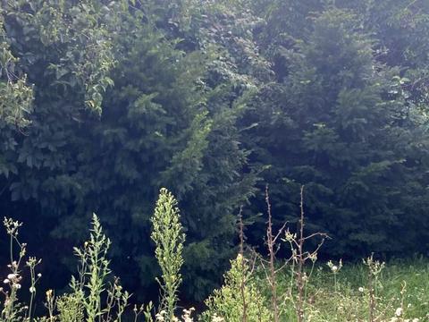 дом по адресу Матросова ул.