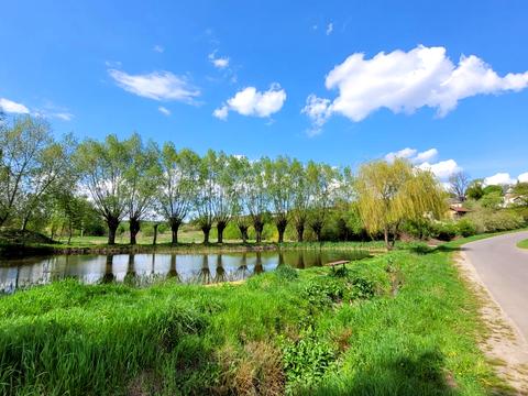 участок по адресу Небесної сотні