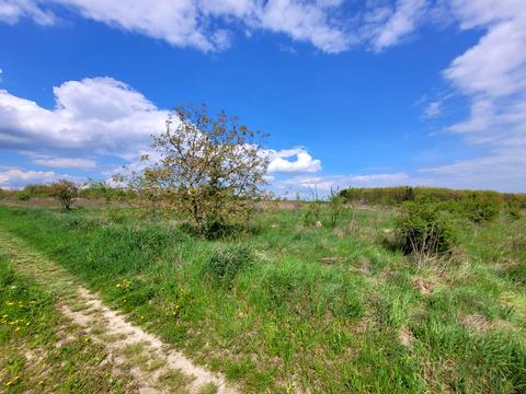 участок по адресу Небесної сотні