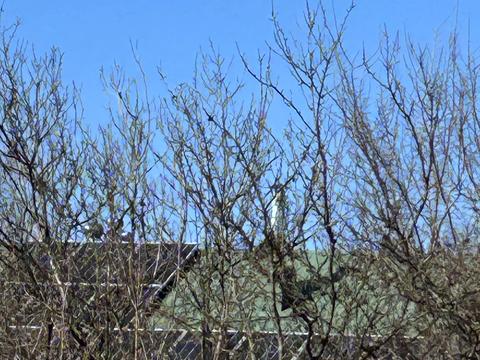 дом по адресу Солов'їна, 19А