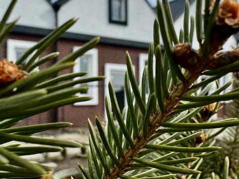 дом по адресу Шевченко ул.