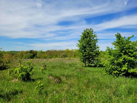 участок по адресу Лесі Українки