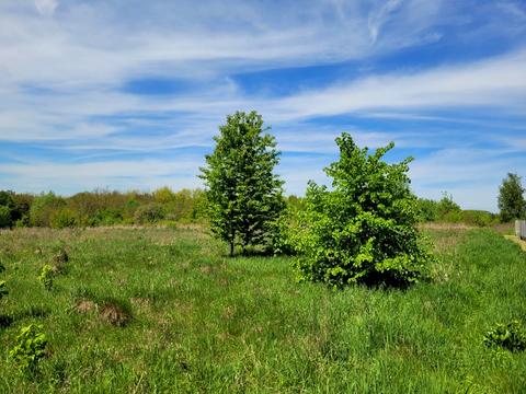 участок по адресу Лесі Українки