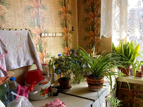 комната по адресу Александровский просп. (Косиора), 158