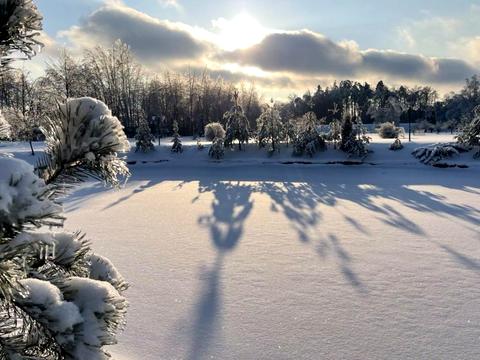 будинок за адресою Шевченка
