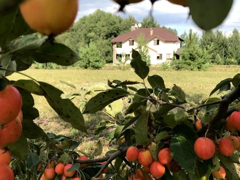 будинок за адресою Шевченка