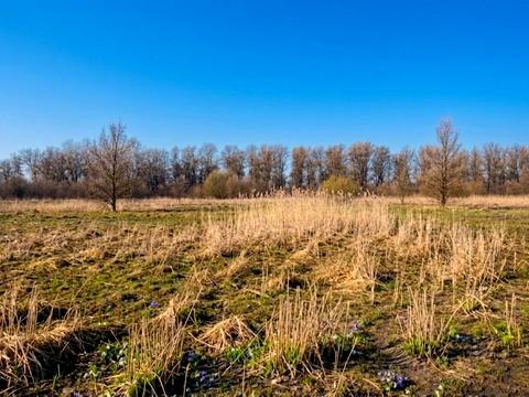 участок по адресу 