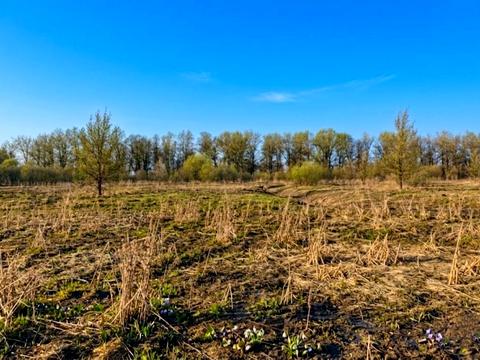 участок по адресу 