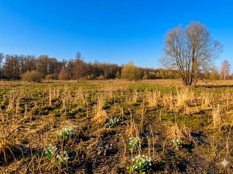 участок по адресу 