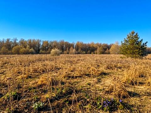 участок по адресу 