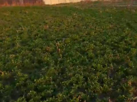 участок по адресу Київська, 30