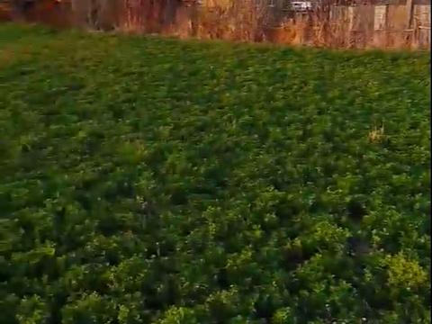 участок по адресу Київська, 30