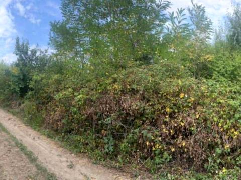 ділянка за адресою 