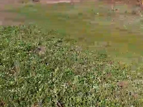 участок по адресу Київська, 30