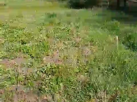 участок по адресу Київська, 30