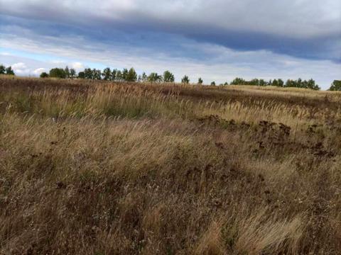 участок по адресу 