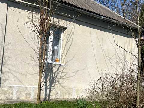 будинок за адресою Центральна вул., 10