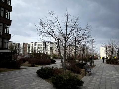 квартира по адресу Берёзовая ул., 43