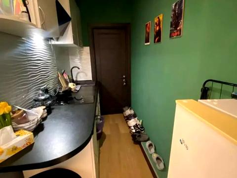 квартира по адресу 65-я Садовая ул., 25