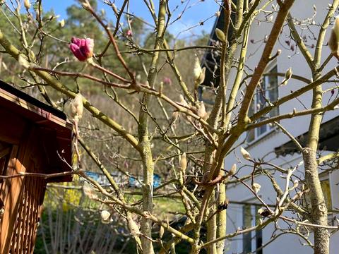 дом по адресу Зелёная ул.