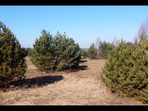 участок по адресу лугова