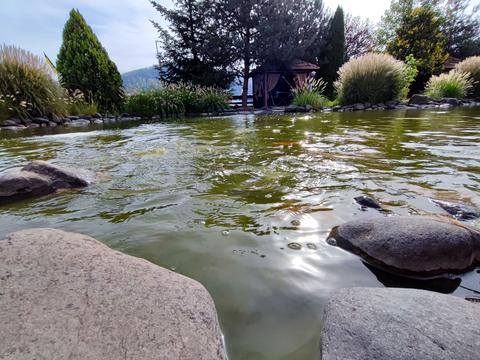 коммерческая по адресу Духновича ул., 106