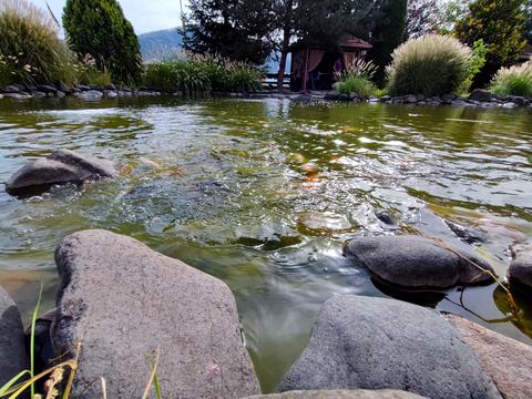 коммерческая по адресу Духновича ул., 106