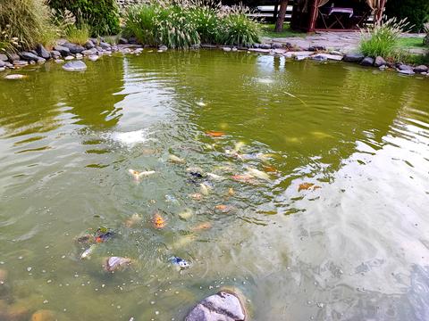 коммерческая по адресу Духновича ул., 106