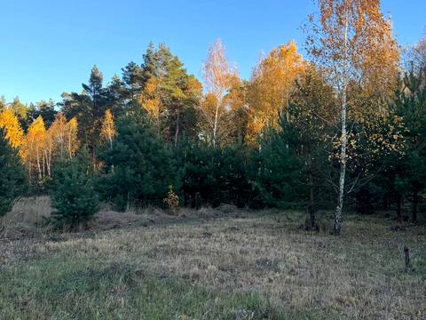 ділянка за адресою КМ Ясний