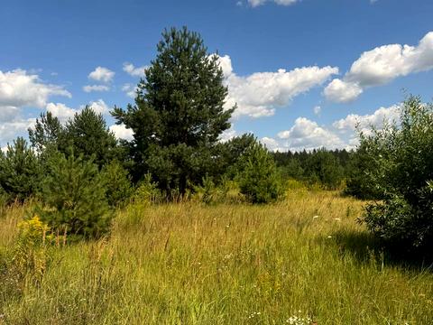 ділянка за адресою КМ Ясний