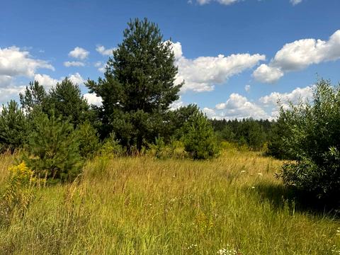 ділянка за адресою КМ Ясний