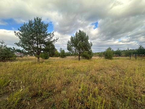 ділянка за адресою КМ Ясний