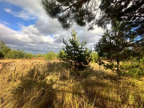 ділянка за адресою КМ Ясний