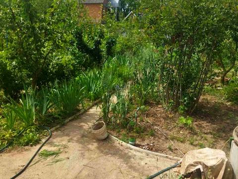 участок по адресу Смотрицкая ул.