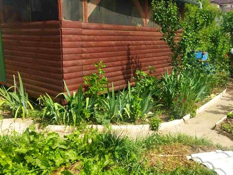 участок по адресу Смотрицкая ул.