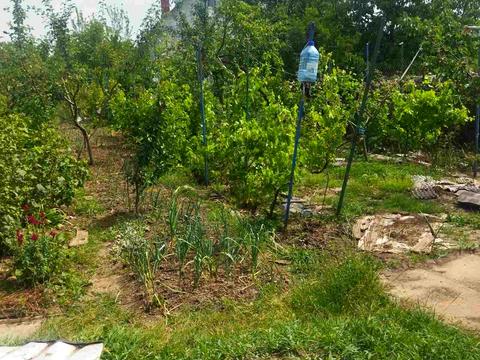 участок по адресу Смотрицкая ул.