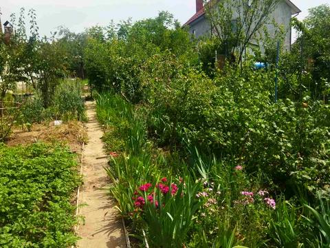 участок по адресу Смотрицкая ул.