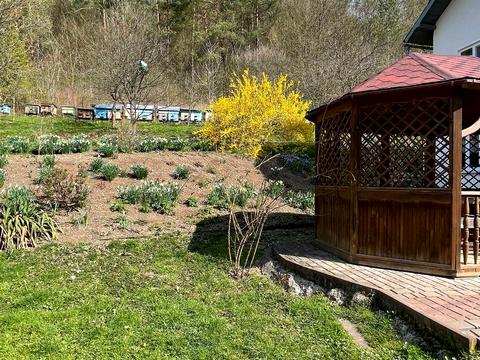 дом по адресу Зелёная ул.