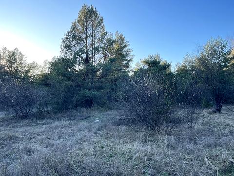 участок по адресу М.Микала