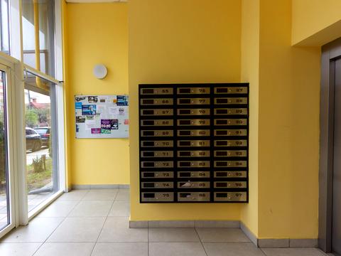 квартира за адресою Гетьмана Івана Мазепи вул. (Топольна), 2-Б