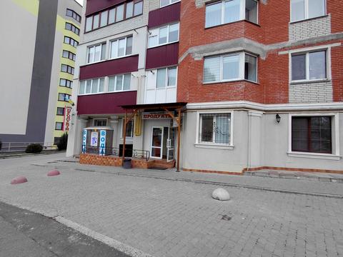 комерційна за адресою Володимира Великого вул., 9