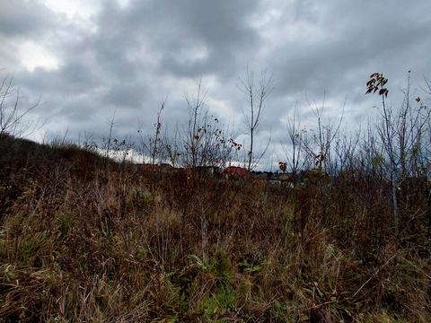 участок по адресу Микулинецкая ул.