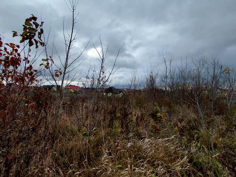 участок по адресу Микулинецкая ул.