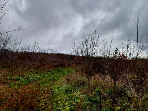 участок по адресу Микулинецкая ул.