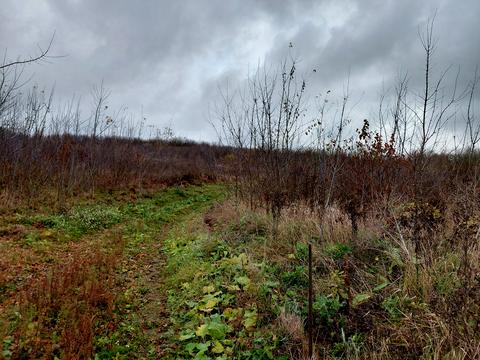 участок по адресу Микулинецкая ул.