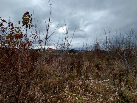 ділянка за адресою Микулинецька вул.