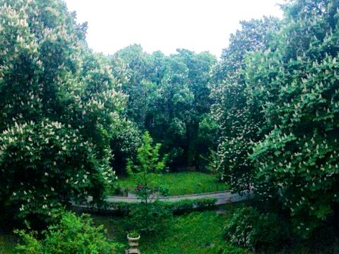 квартира за адресою Інститутська вул., 18