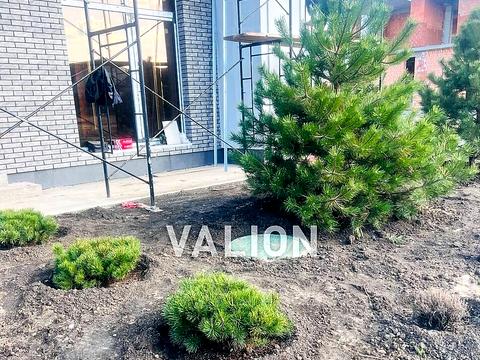 дом по адресу Березова, 36